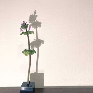 一輪挿し,花瓶,山野草,花のある暮らし,花のある生活の画像