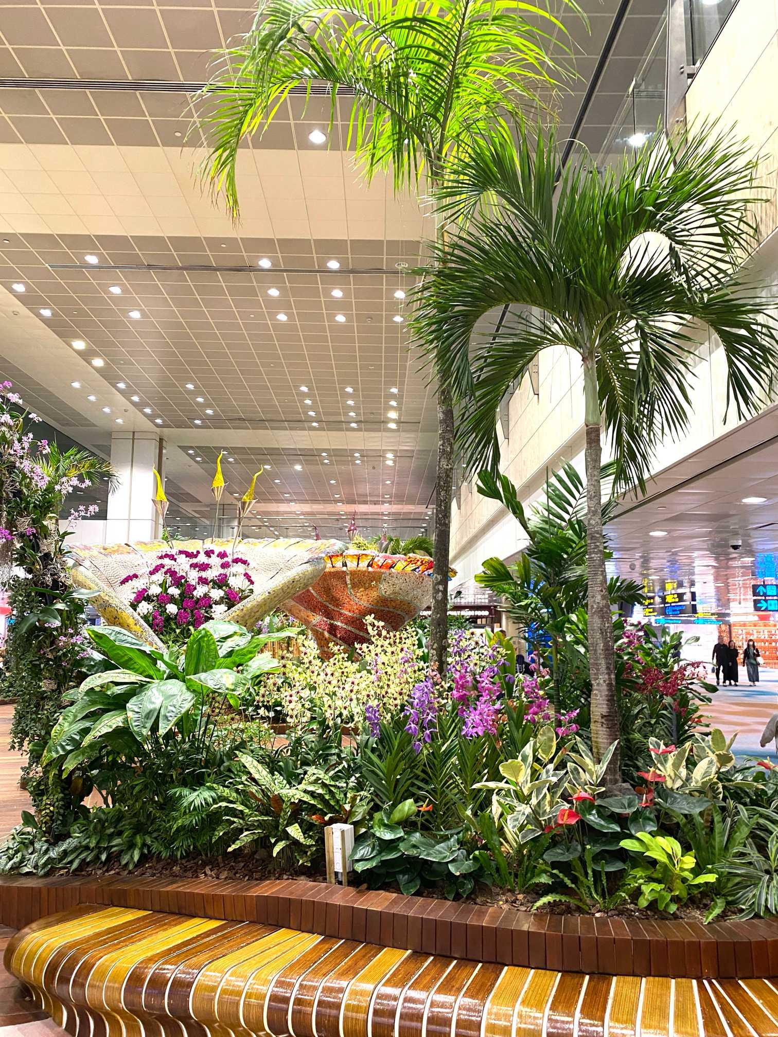 シンガポール空港のターミナル内の蘭｜🍀GreenSnap（グリーンスナップ）