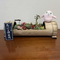 リュウノヒゲ,幸せを呼ぶフクロウ祭り,フクロウ祭り,GSミニモニ。,バラと夢CLUBの画像