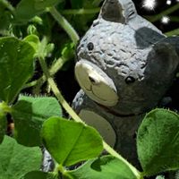 ストロベリーキャンドル,ありがとう♡,繋がりに感謝✨,お花は癒し,大切な人に…の画像