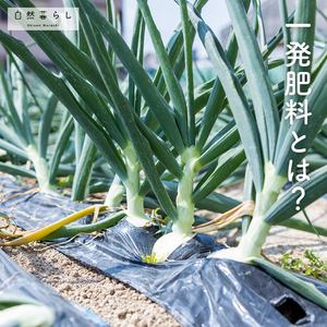 植物のある暮らし,肥料,自然のある暮らし,家庭菜園奮闘日記,おうち園芸の画像