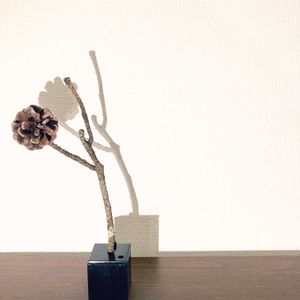 一輪挿し,花瓶,花のある暮らし,花のある生活,お気に入りのフラワーベースの画像