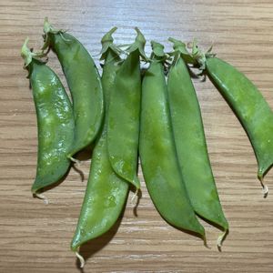 自家製野菜,PR,野菜遺産,野菜遺産プロジェクト,家庭菜園の画像