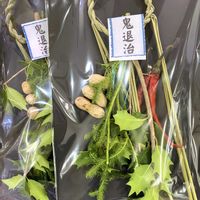 とうがらし,ヒイラギ,ヒイラギ,落花生,落花生の画像