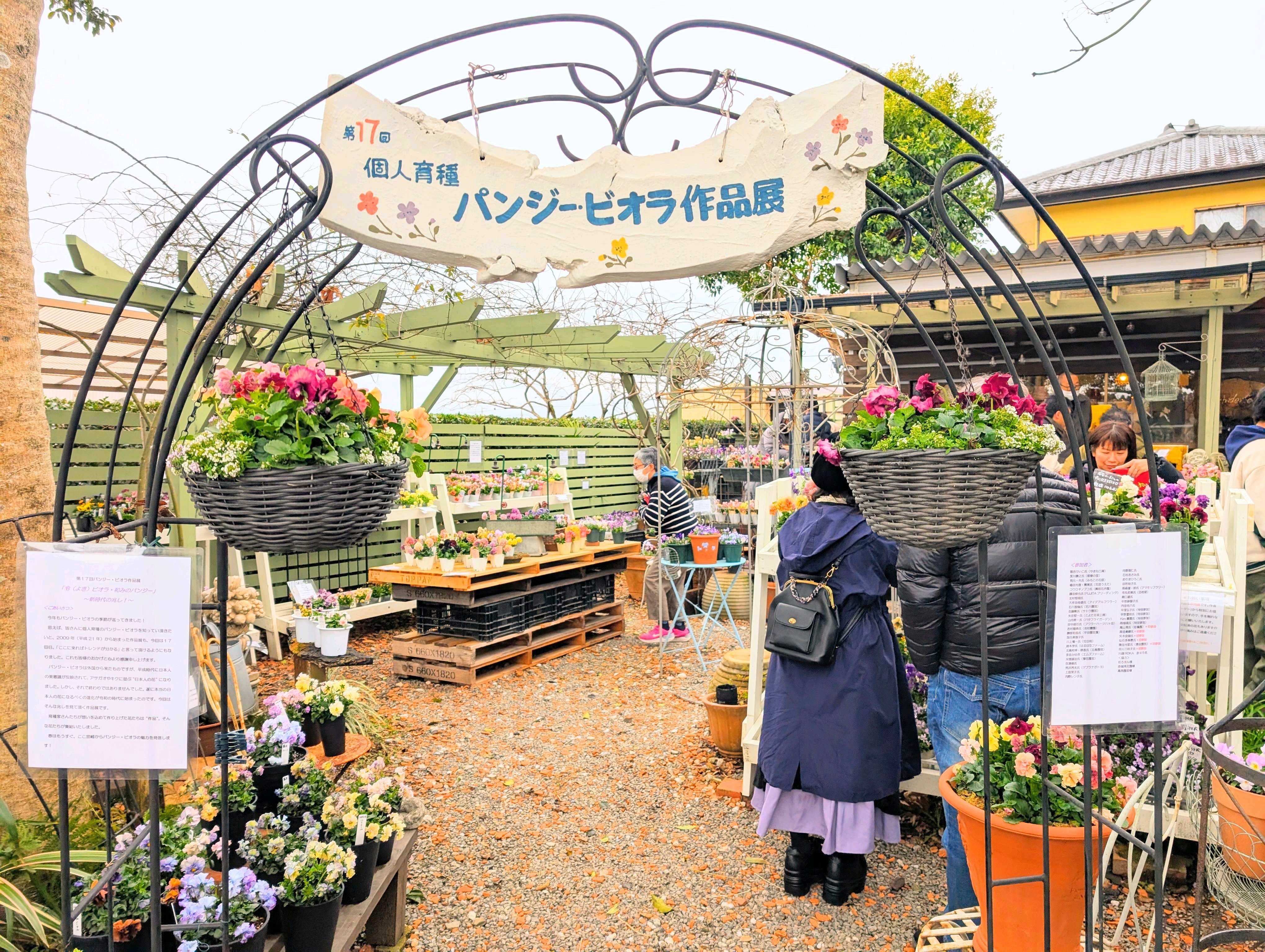 第17回 個人育種パンジー・ビオラ作品展｜🍀GreenSnap（グリーンスナップ）