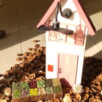くるみ,寄せ植え,多肉植物,ドライフラワー,多肉寄せ植えの画像