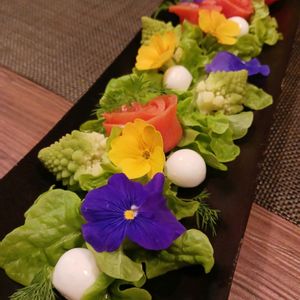 プリムラ,リーフレタス,ビオラ,ディル,ロマネスコの画像