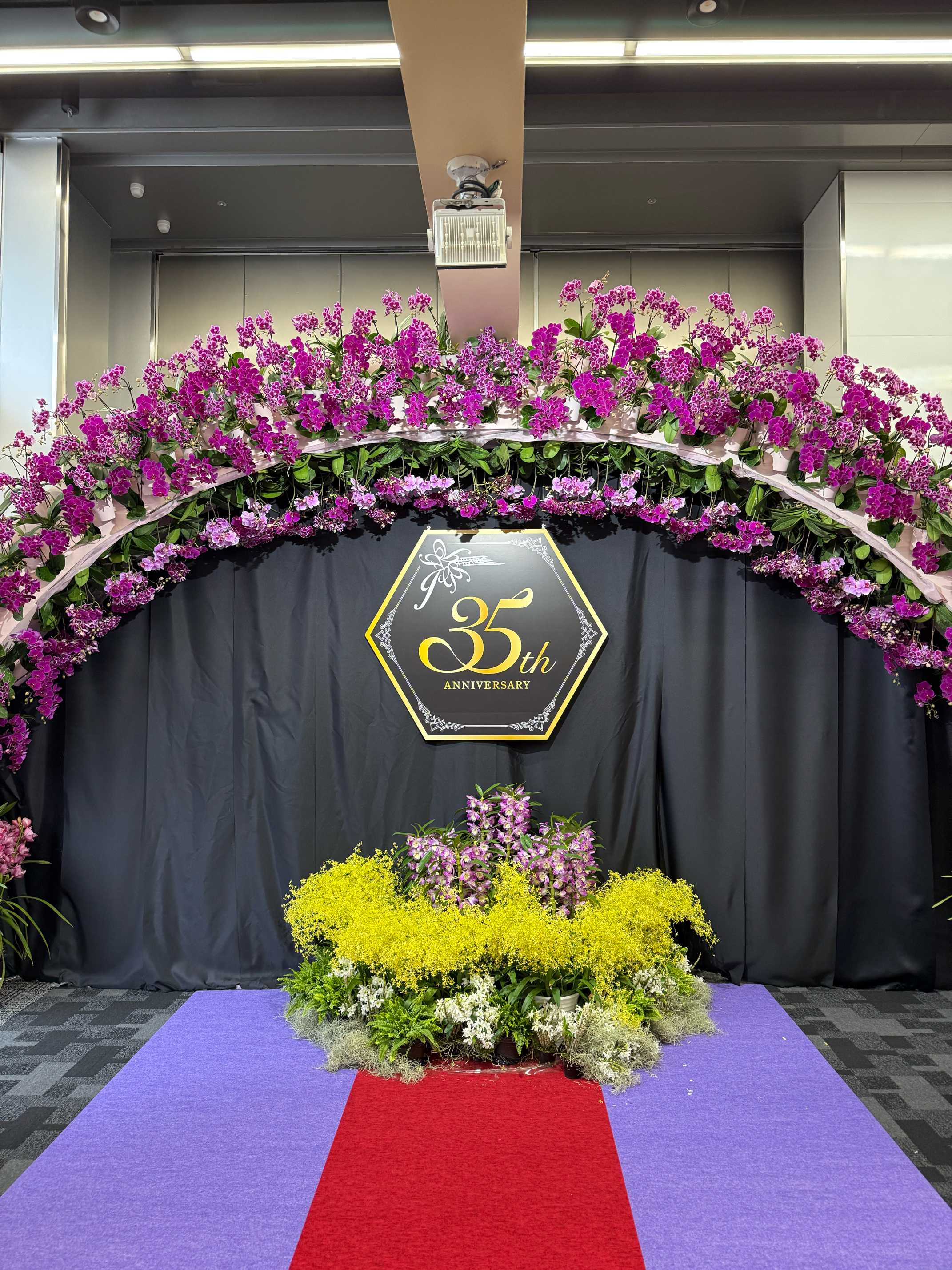 世界らん展2025 無料鑑賞チケット 4枚 世界らん展２０２５東京ドームご鑑賞券３枚 - メルカリ