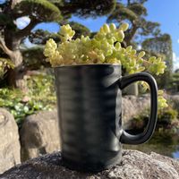 ビアホップ ,多肉植物,お花は癒し,花が好き❤,☆携帯撮影☆の画像