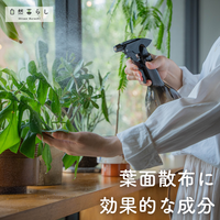 観葉植物,塊根植物,花のある暮らし,植物のある暮らし,肥料の画像