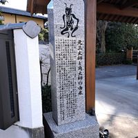 クスノキ,龍泉寺,足利厄除け大師,角大師の画像