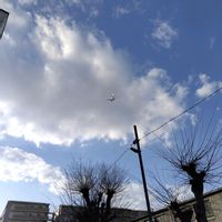 寒椿,青い空,イマソラ,今日も元気で,キュンキュン乙女倶楽部の画像