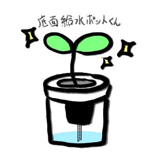 底面給水ポットくん