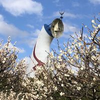 ウメ,月影,緑萼八重枝垂,月↓,芳流閣の画像