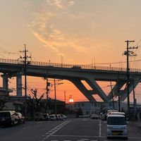 ツバキ,寒椿,椿（つばき）,寒椿（かんつばき）,大和路快足の画像