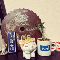 多肉植物,ハンドメイド 鉢,リメ缶・リメ鉢,多肉植物が好きな人と繋がりたい,るるさんの手作り雑貨の画像