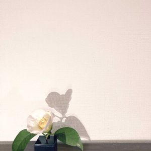 一輪挿し,花瓶,花のある暮らし,花のある生活,お気に入りのフラワーベースの画像