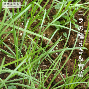 植物のある暮らし,肥料,プランター栽培,露地栽培,自然のある暮らしの画像