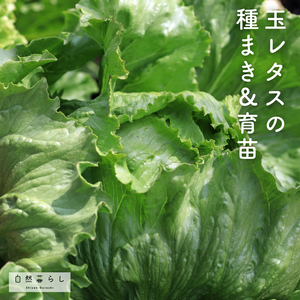 植物のある暮らし,肥料,プランター栽培,露地栽培,自然のある暮らしの画像