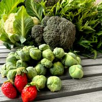 イチゴ,水菜,ブロッコリー,芽キャベツ,カリフラワーの画像