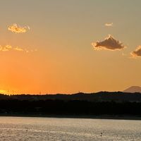 ストック,ラナンキュラス,葉牡丹,夕焼け,被災地にエールを…。の画像