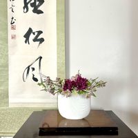 アマリリス,ホロホロ鳥,水耕栽培,花のある暮らし,緑のある暮らしの画像