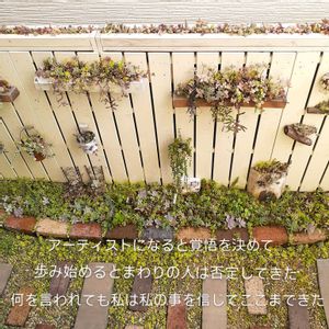 セダム,寄せ植え,多肉植物,アーティスト,庭の画像