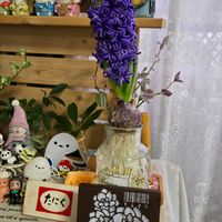 GSに感謝。,ヒヤシンス水栽培,繋がりに感謝,ポジティブに行こう！！,6日はカエルの日の画像