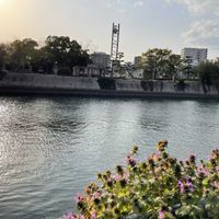 チューリップ,ホトケノザ,マーガレット,川の風景,春のお花の画像
