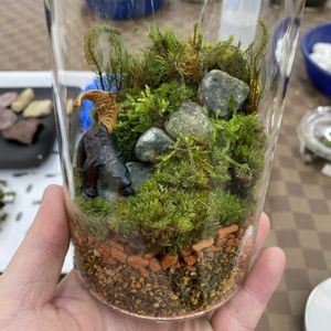 苔のテラリウム,苔テラリウム,苔 (コケ),初めての苔テラリウム,おうち園芸の画像