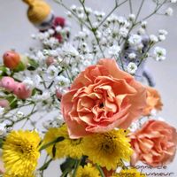 カーネーション,カスミソウ,ヒペリカム,小菊,編みぐるみの画像