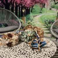 タビビトノキ,GSミニモニ。,バラと夢CLUB,チーム長野,MIN倶楽部の画像