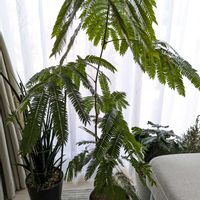 エバーフレッシュの画像