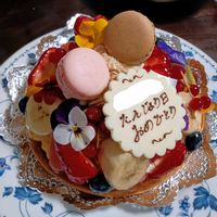 シュンラン,多肉いろいろ,多肉植物いろいろ,ブロッコリー,モロヘイヤの画像