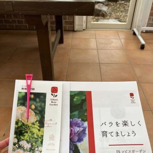 バラ,ナチュラルガーデン,園芸店,マイガーデン,花のある暮らしの画像