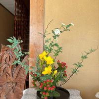 コデマリ,ヒペリカム,フリージア,生け花,玄関アプローチの画像