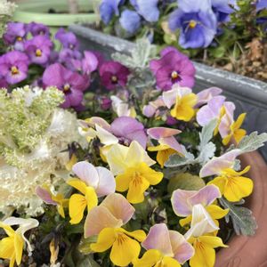 芝生の庭,優しい気持ち,happy♡,❤️癒されて,幸せにな〜る◡̈❁の画像