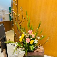 チューリップ,マーガレット,東海桜,麦(むぎ),生花の画像