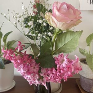 バラ,ヒヤシンス,切り花達,かすみそうの画像