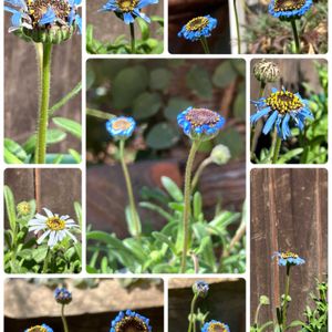 ナチュラルガーデン,自然が好き,GS映え,GS日和,GREEN UP!の画像