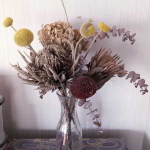 ドライフラワー,花のある暮らし,花いろいろ,おうち園芸の画像