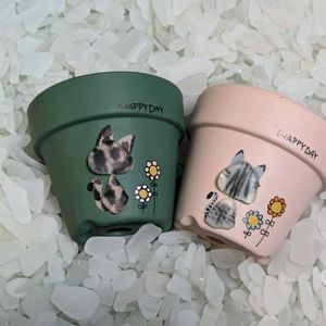 アガベ,猫ちゃんの後ろ姿,寄せ植え,多肉植物,リメ缶の画像