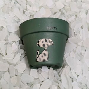 アガベ,猫ちゃんの後ろ姿,寄せ植え,多肉植物,リメ缶の画像