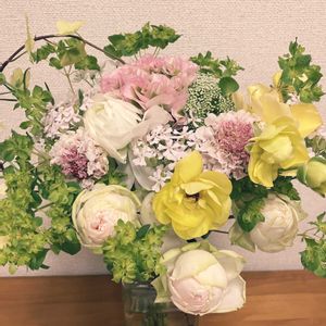 エア プランツ,寄せ植え,多肉植物,観葉植物,花束の画像