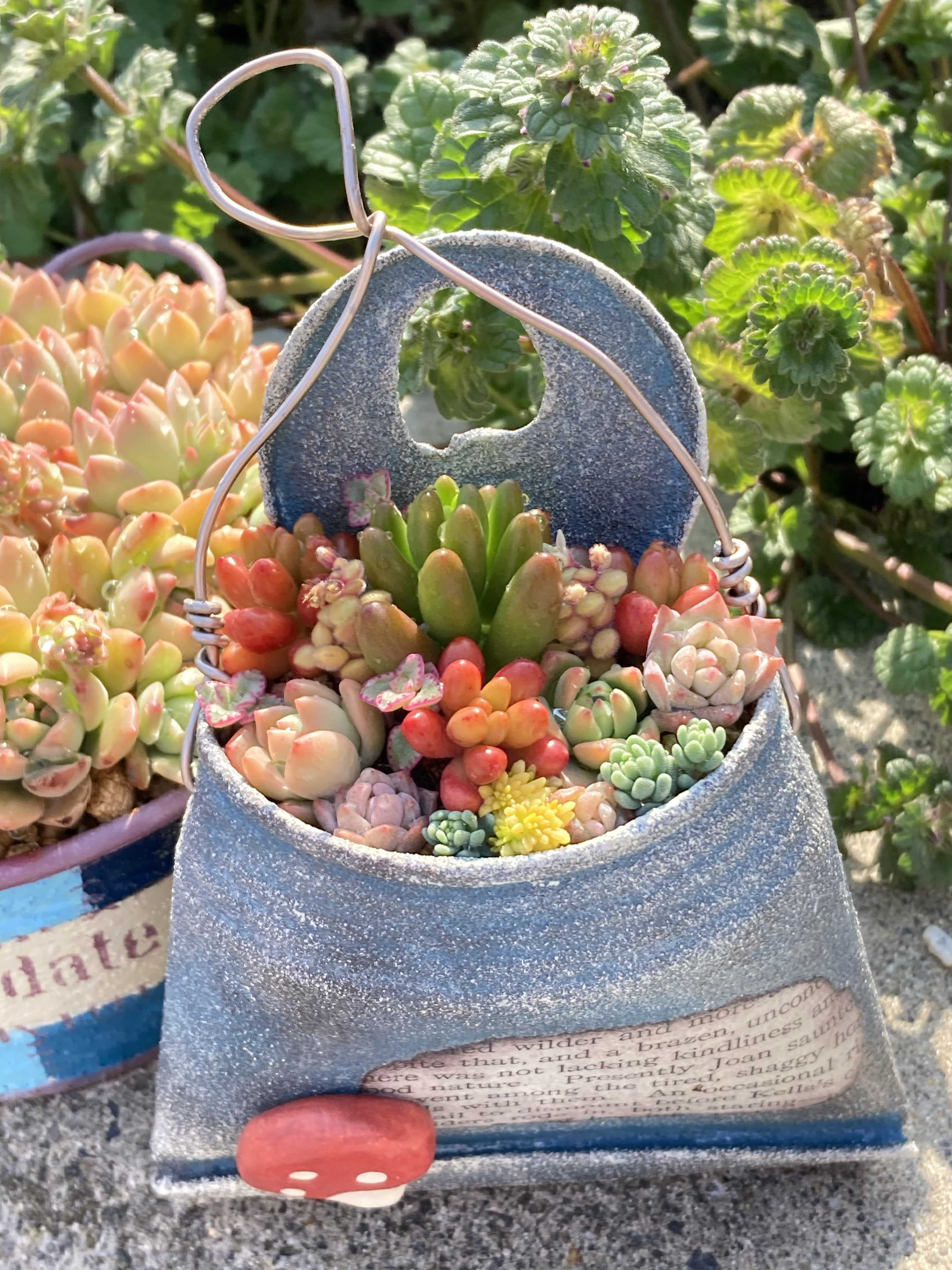 ロッティ交配の一覧｜🍀GreenSnap（グリーンスナップ）