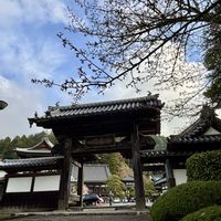 ナンテン,ウメノキゴケ,ウメノキゴケ(地衣類),ミノブザクラ,甘露門の画像