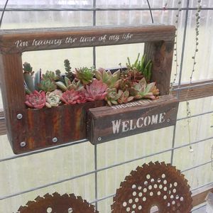 多肉植物 寄せ植え,軒下,兵庫タニラー,おうち園芸の画像