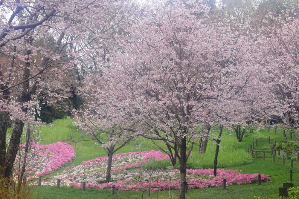 maroさんの里山ガーデン（大花壇）への投稿