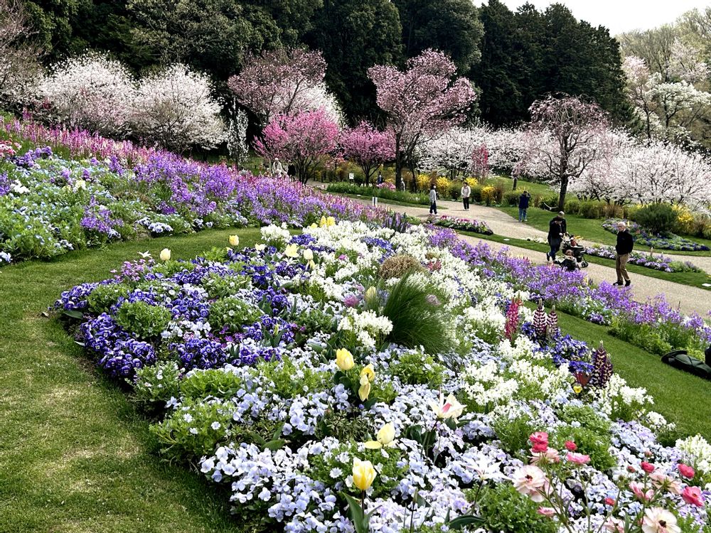 せれすさんの里山ガーデン（大花壇）への投稿