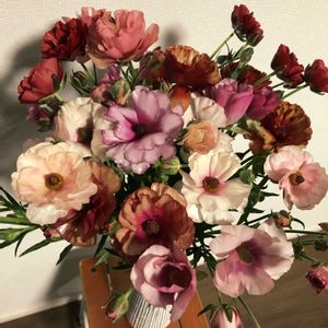 ラナンキュラスラックス,ラナンキュラスラックス,球根,ブーケ,花束の画像